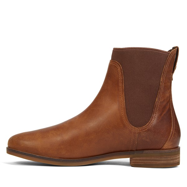 Women's Somers Fall Brown Chelsea Boots | Little Burgundy